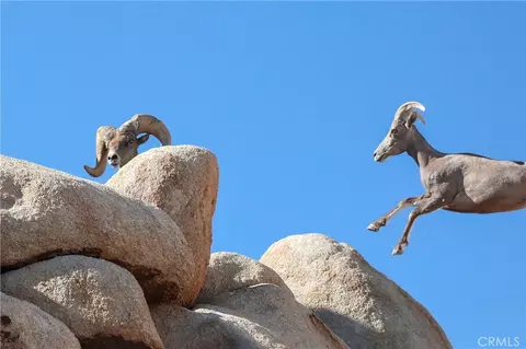 Other - 66075 Foothill, Joshua Tree, CA 92252 photo 16 of 19