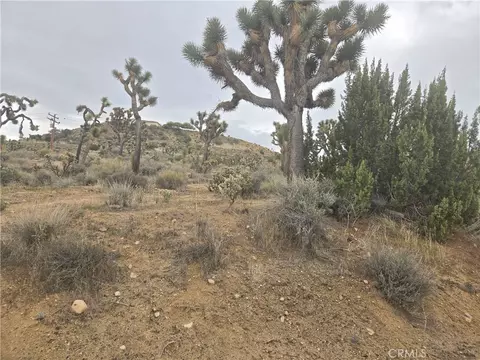 54763 Twentynine Palms Hwy, Yucca Valley, CA 92284