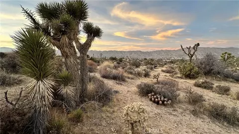 55370 Bunny Rd, Yucca Valley, CA 92284