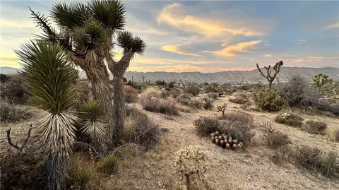 55370 Bunny Rd, Yucca Valley, CA 92284