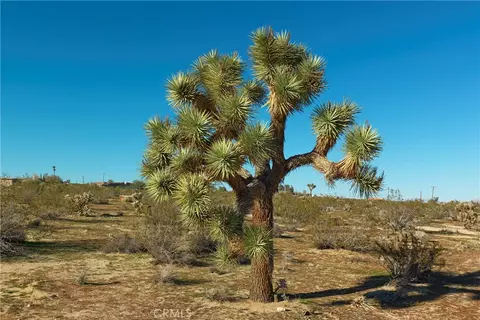 4084 Ocean Ave, Joshua Tree, CA 92252 photo 6