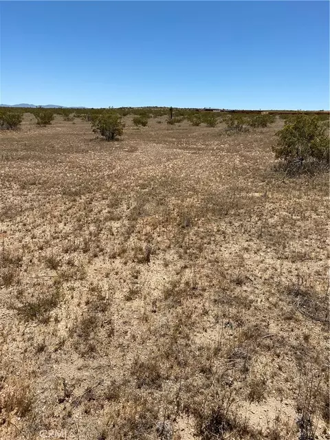 0 Fetlock, Landers, CA 92285 photo 2
