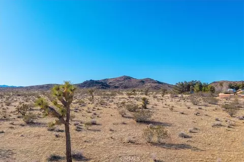 1631 Alta Ave, Landers, CA 92285 photo 16