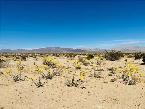 0 Near Shelton Rd, Twentynine Palms, CA 92277