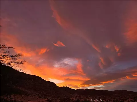 82302 Raymond, Twentynine Palms, CA 92277