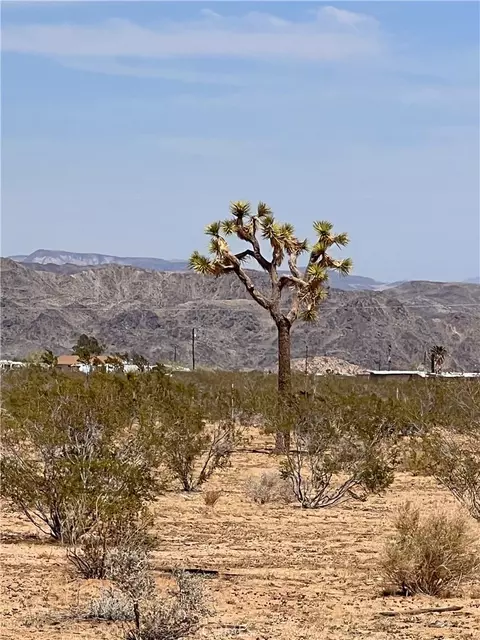 Other - 56172 Cone Blvd, Landers, CA 92285 photo 27 of 27