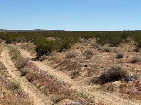 0 Ca-247, Johnson Valley, CA 92285 photo 3