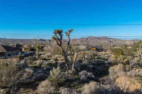 60432 Latham Trl, Joshua Tree, CA 92252 photo 20