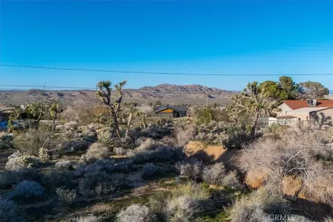 60432 Latham Trl, Joshua Tree, CA 92252 photo 4