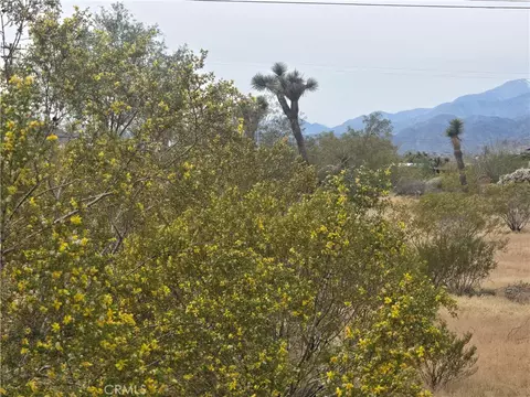 7414 Alaba Ave, Yucca Valley, CA 92284 photo 5