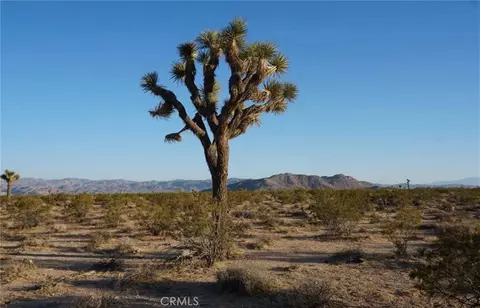 2172 Conejo Ave, Joshua Tree, CA 92252