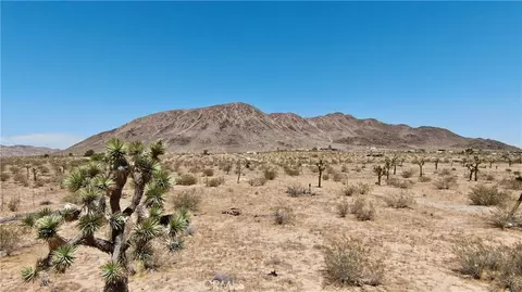 1903 Osgood Ave, Landers, CA 92285 photo 8