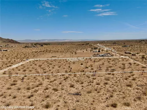 1903 Osgood Ave, Landers, CA 92285 photo 11