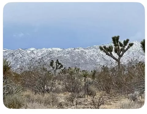 Other - 3893 Manchester, Yucca Valley, CA 92284 photo 7 of 9