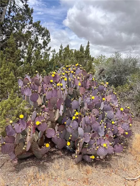 Other - 7890 Mariposa, Yucca Valley, CA 92284 photo 2 of 14