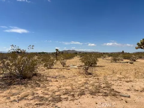 1 Mitch Rd, Landers, CA 92284 photo 6