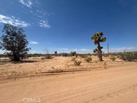 1 Mitch Rd, Landers, CA 92284 photo 8
