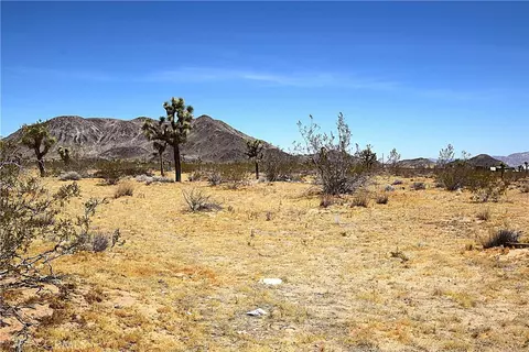 0 Philippi Ln, Landers, CA 92285 photo 3