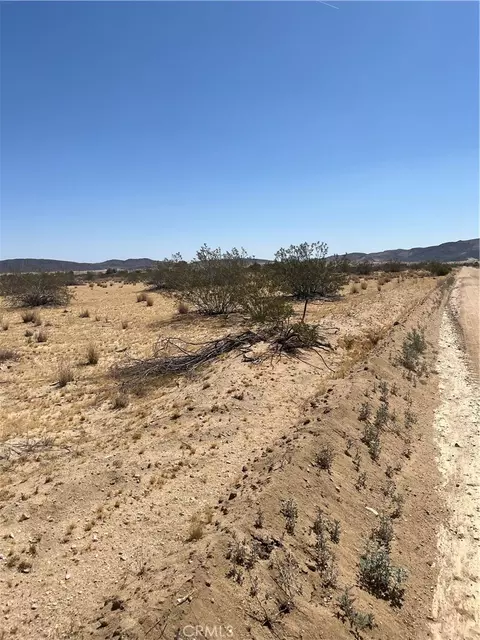 0 Division, Joshua Tree, CA 92252