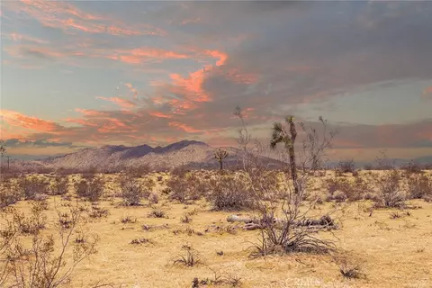5589 Sutton Ave, Joshua Tree, CA 92252 photo 3