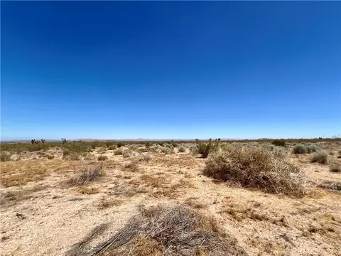 33501 165th St E, Llano, CA 93544 photo 5