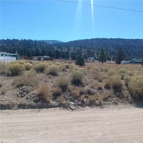 777 Old Pioneer Town Rd, Baldwin Lake, CA 92314
