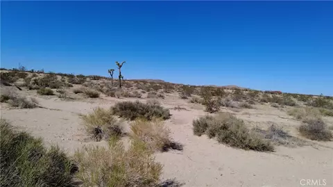 0 Campanula St, Joshua Tree, CA 92252 photo 3