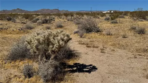 0 Bodick Rd, Johnson Valley, CA 92285 photo 6