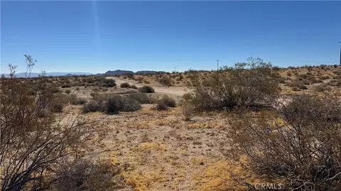 0 Bodick Rd, Johnson Valley, CA 92285 photo 10
