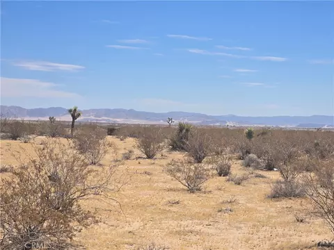 1577 Mcgarry Rd, Joshua Tree, CA 92252 photo 2