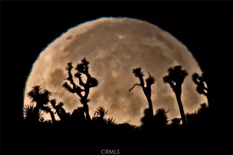 Other - 8421 Sunset Rd, Joshua Tree, CA 92252 photo 2 of 14