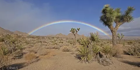 Other - 8421 Sunset Rd, Joshua Tree, CA 92252 photo 5 of 14