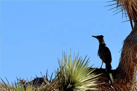 Other - 63350 Quail Spgs, Joshua Tree, CA 92252 photo 4 of 7