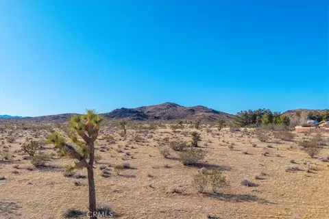 1631 Alta Ave, Landers, CA 92285 photo 16