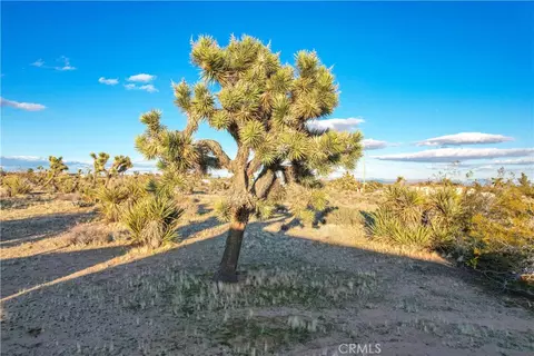 Exterior - 3567 Condalia Ave, Yucca Valley, CA 92284 photo 14 of 19