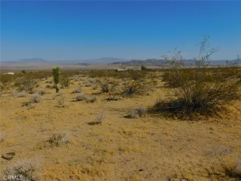 Other - 0 Cholla, Johnson Valley, CA 92285 photo 9 of 11