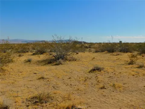 Other - 0 Cholla, Johnson Valley, CA 92285 photo 10 of 11