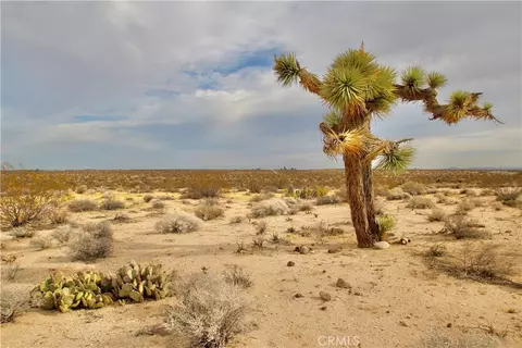 0 Cielito, Joshua Tree, CA 92252 photo 5