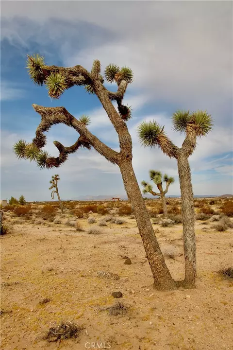 0 Cielito, Joshua Tree, CA 92252 photo 6