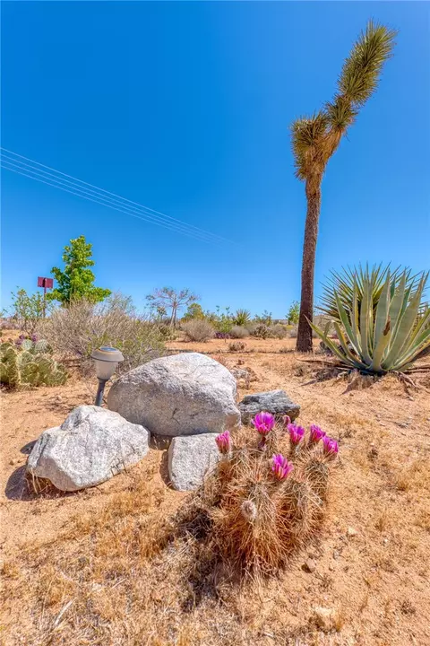 59025 La Brisa, Yucca Valley, CA 92284 photo 63