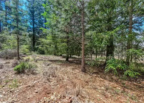 8833 Fox Dr, Cobb, CA 95426 photo 6
