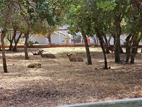 9717 Mount Hood Way, Kelseyville, CA 95451