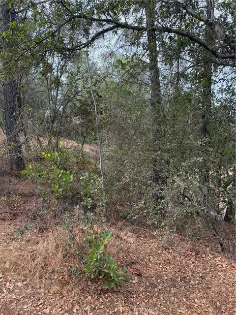 3475 Garfield Ave, Clearlake, CA 95422 photo 3