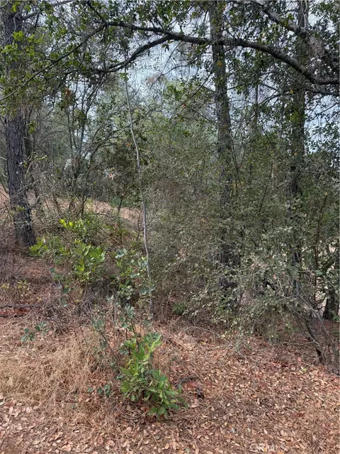 3475 Garfield Ave, Clearlake, CA 95422 photo 3