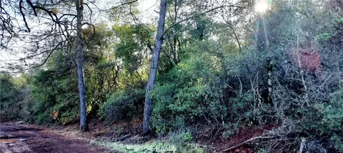 15151 Gray Pine Rd, Lake, CA 95457 photo 4