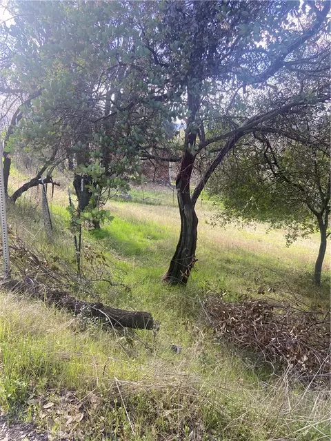 7005 Marin St, Nice, CA 95464 photo 4