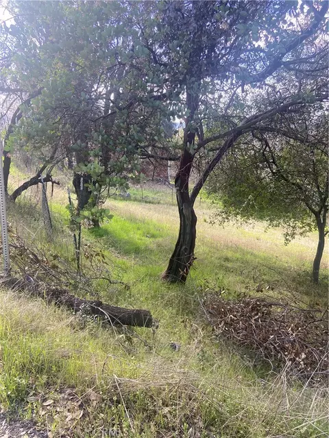 7005 Marin St, Nice, CA 95464 photo 4