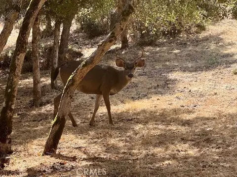 10789 Harbor Rd, Kelseyville, CA 95451