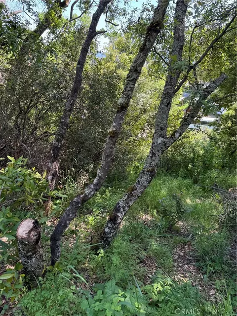 6705 Floyd Way, Nice, CA 95464 photo 8