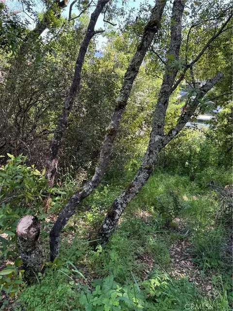6705 Floyd Way, Nice, CA 95464 photo 8